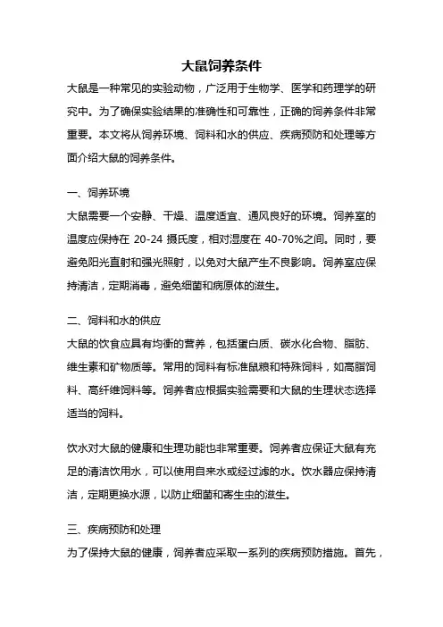 大鼠饲养条件