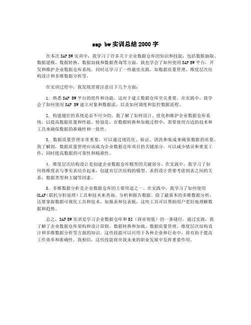 sap bw实训总结2000字