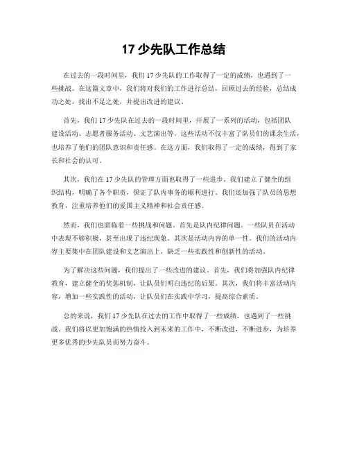 17少先队工作总结