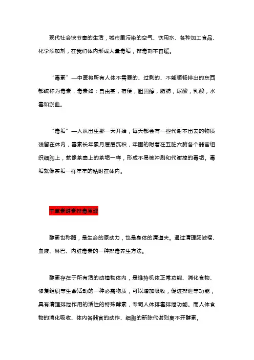 酵素排毒原理