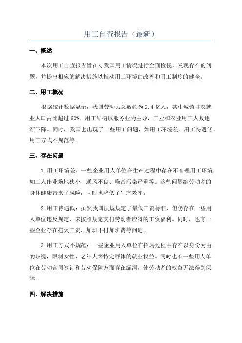 用工自查报告(最新)