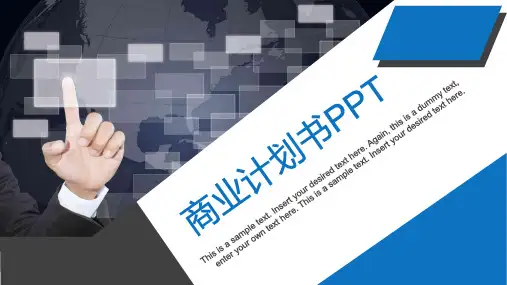 手工冰粉创业计划书PPT