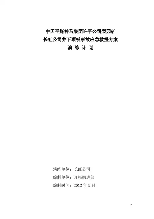 2012长虹顶板应急救援方案演练计划 文档