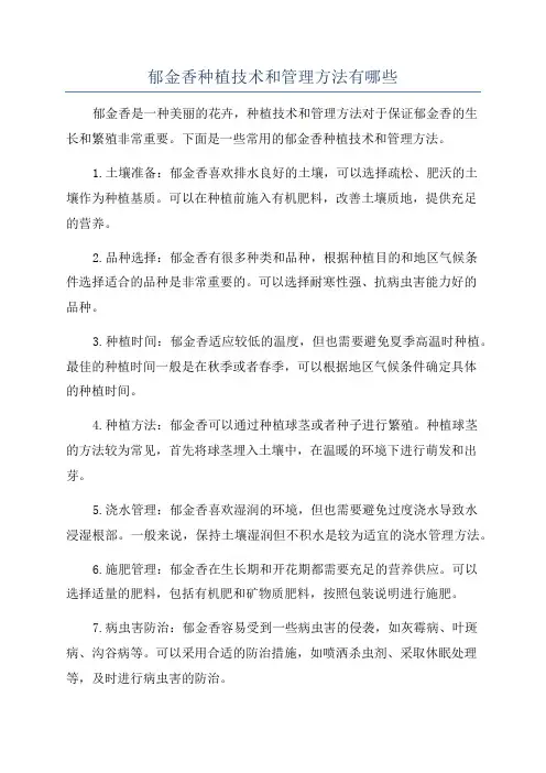 郁金香种植技术和管理方法有哪些