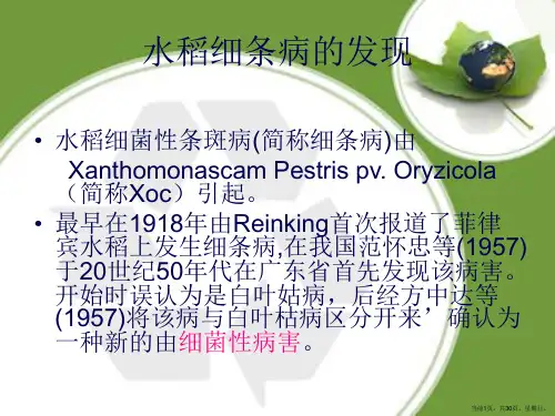 抗细菌转基因工程课程资料