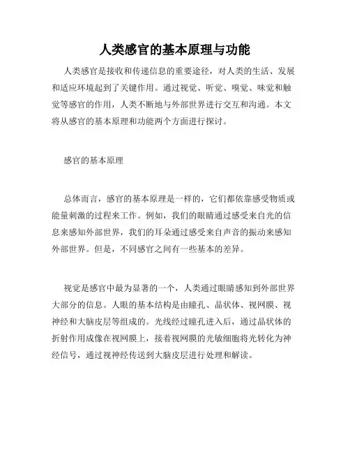 人类感官的基本原理与功能
