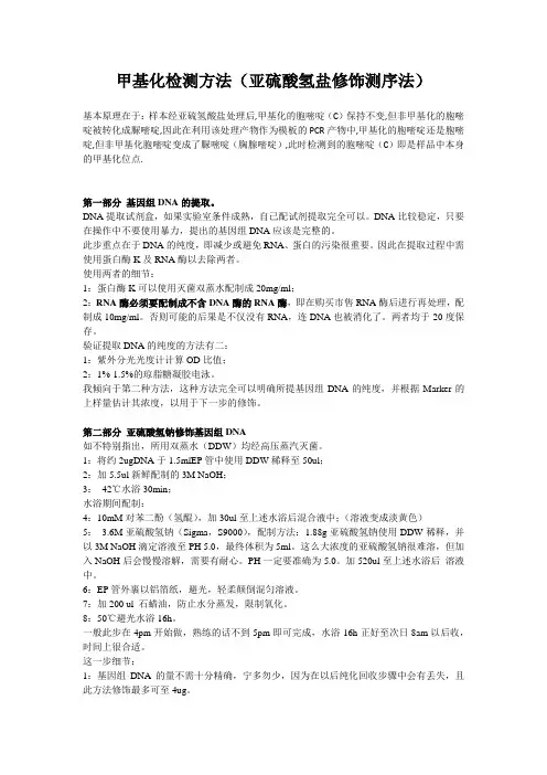 甲基化原理及方法