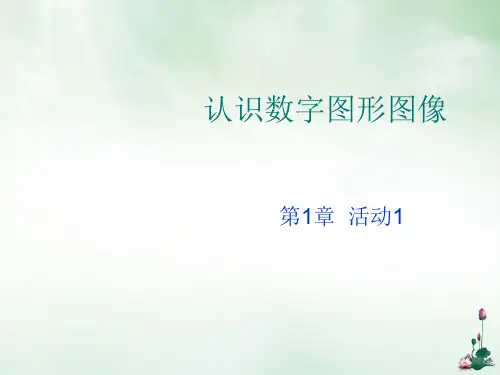 认识数字图形图像(PPT50页)