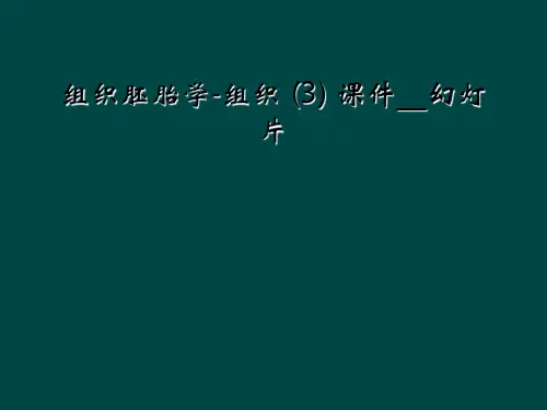 组织胚胎学-组织 (3) 课件__幻灯片