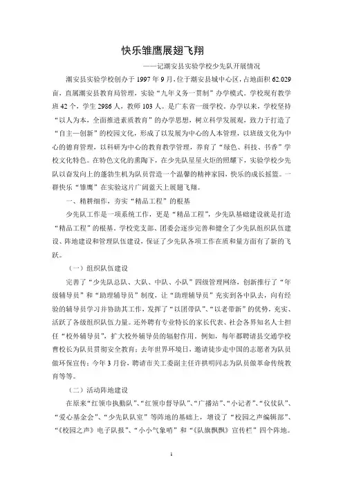 快乐雏鹰展翅飞翔
