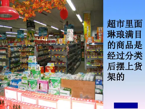 中考化学复习课(名师设计)《物质的分类课件》ppt课件