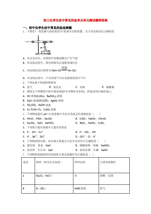 初三化学生活中常见的盐单元单元测试题附答案