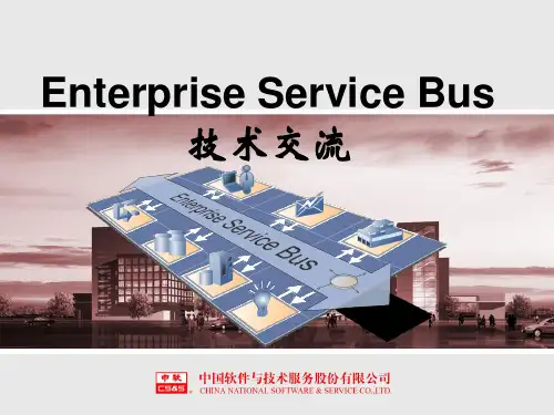 IBM—ESB