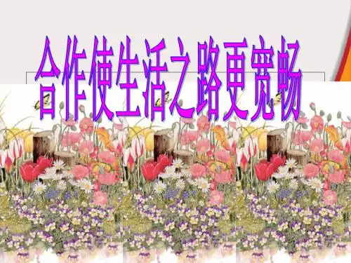 合作使生活之路更宽畅 共47页PPT资料