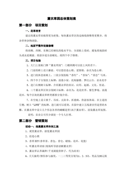 薰衣草总体策划案