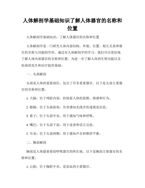人体解剖学基础知识了解人体器官的名称和位置