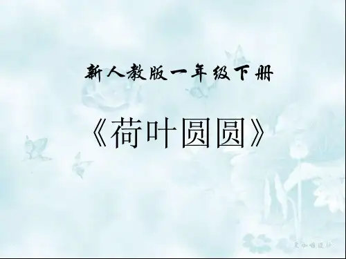 新人教版一年级下册荷叶圆圆PPT课件