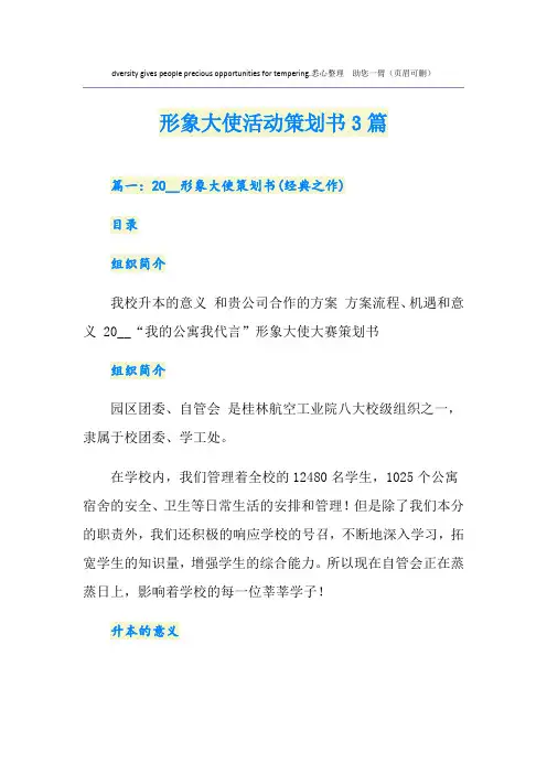 形象大使活动策划书3篇