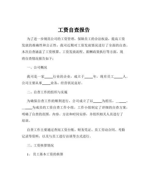 工资自查报告