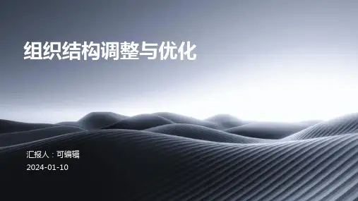 组织结构调整与优化