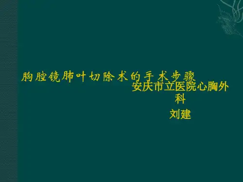 胸腔镜肺叶切除术的手术步骤