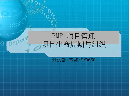 MP项目管理系列培训-项目生命周期与组织(3)