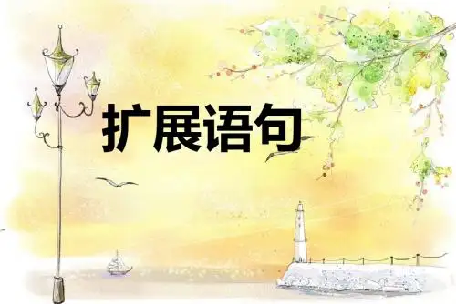 高考扩展语句