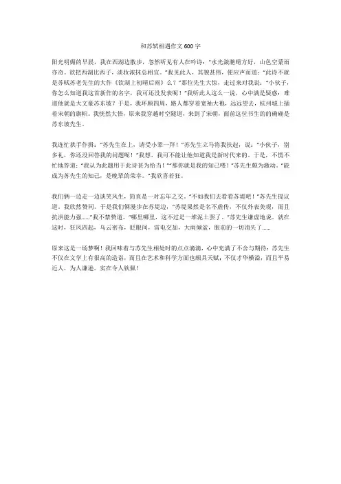和苏轼相遇作文600字