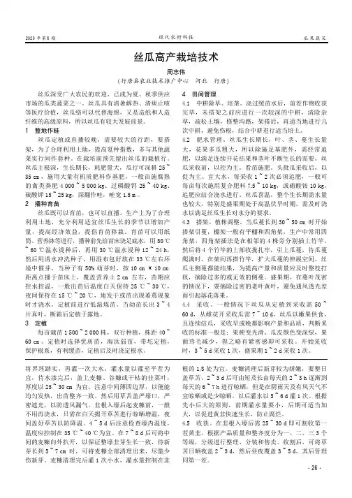 丝瓜高产栽培技术