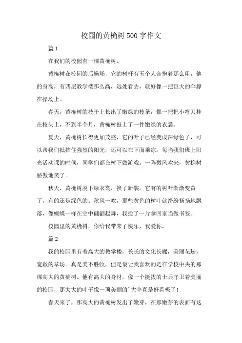 校园的黄桷树500字作文