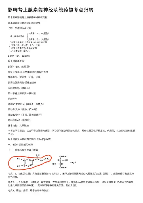 影响肾上腺素能神经系统药物考点归纳
