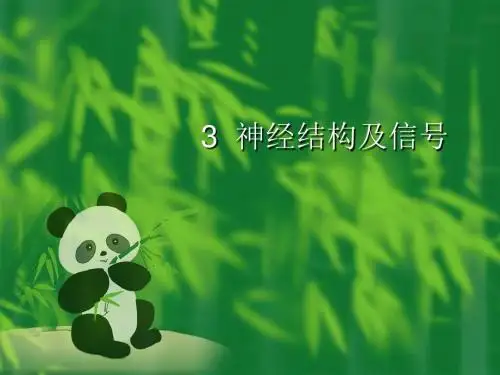 3神经结构及信号
