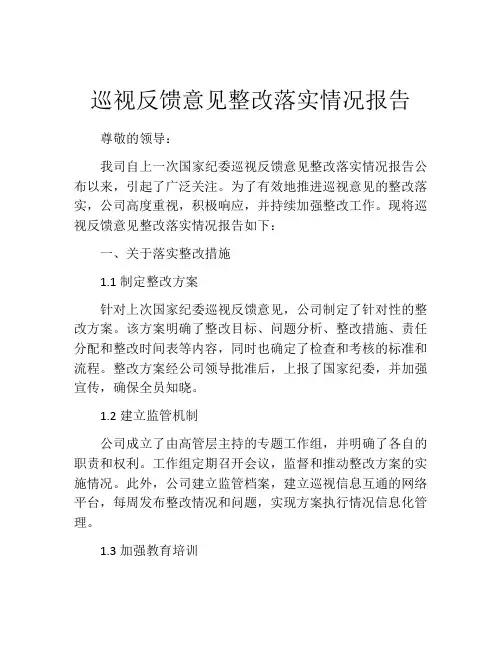 巡视反馈意见整改落实情况报告