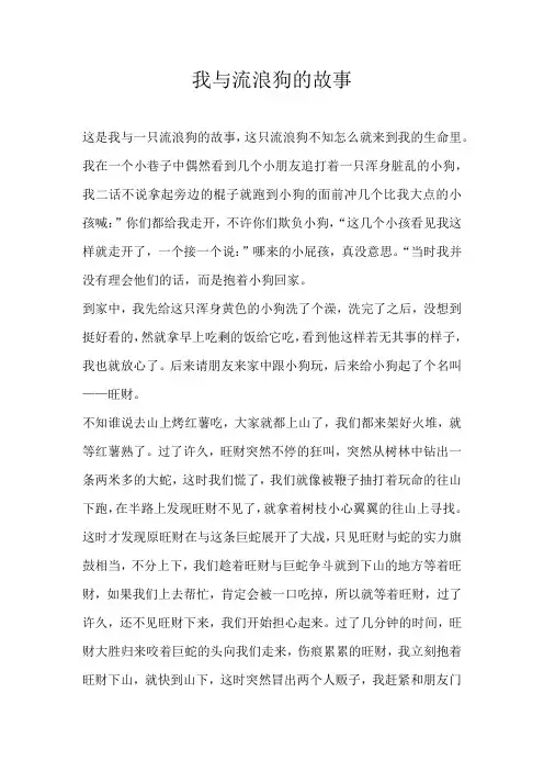 我与流浪狗的故事