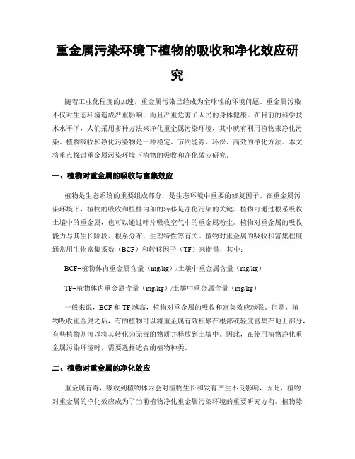 重金属污染环境下植物的吸收和净化效应研究