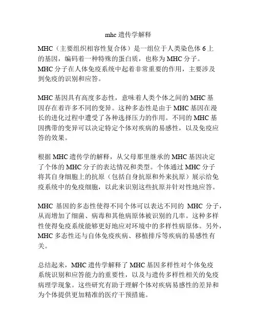 mhc遗传学解释