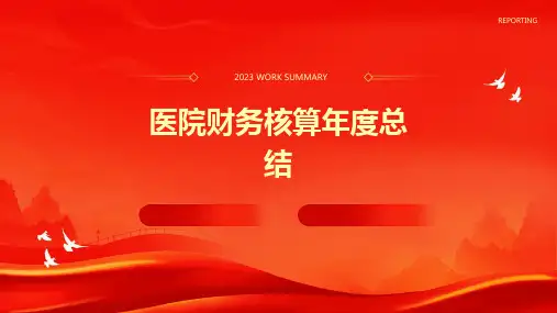 医院财务核算年度总结PPT