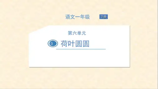 一年级下册语文课件 13 荷叶圆圆 (共25张PPT) 人教部编版
