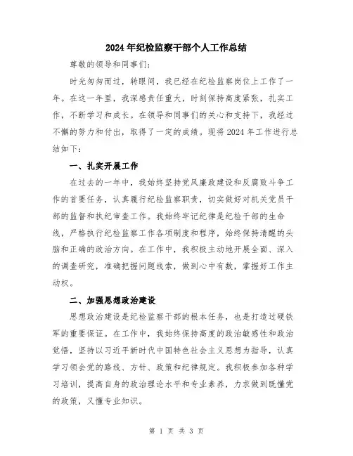2024年纪检监察干部个人工作总结