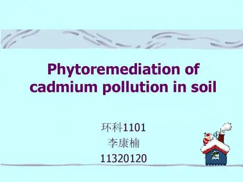 植物修复重金属土壤污染
