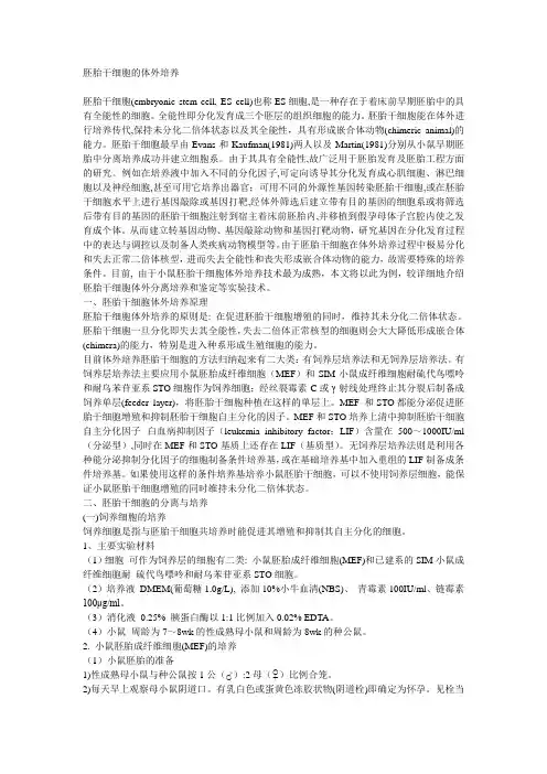 胚胎干细胞的培养
