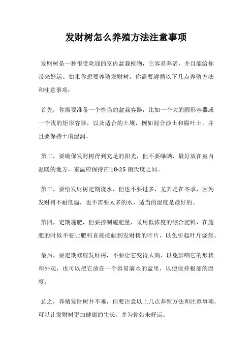 发财树怎么养殖方法注意事项