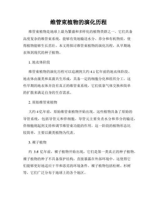 维管束植物的演化历程