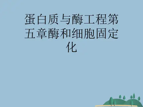 蛋白质与酶工程第五章酶和细胞固定化