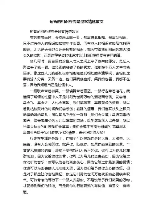 短暂的相识终究是过客情感散文