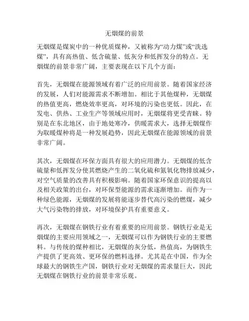 无烟煤的前景