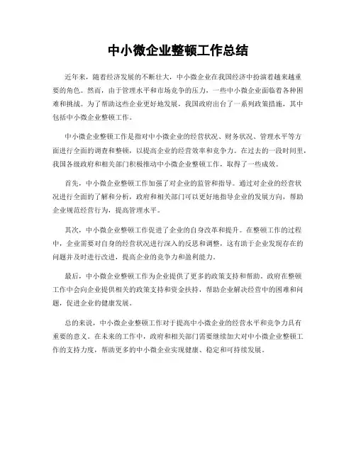 中小微企业整顿工作总结