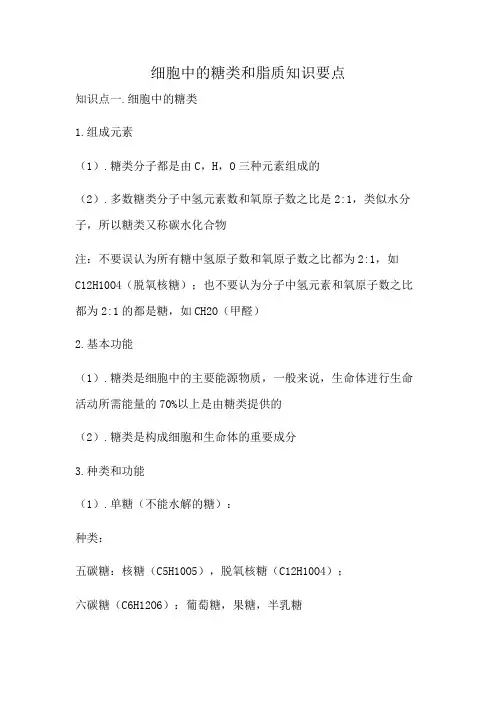 细胞中的糖类和脂质知识要点