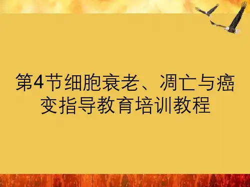 细胞衰老、凋亡与癌变
