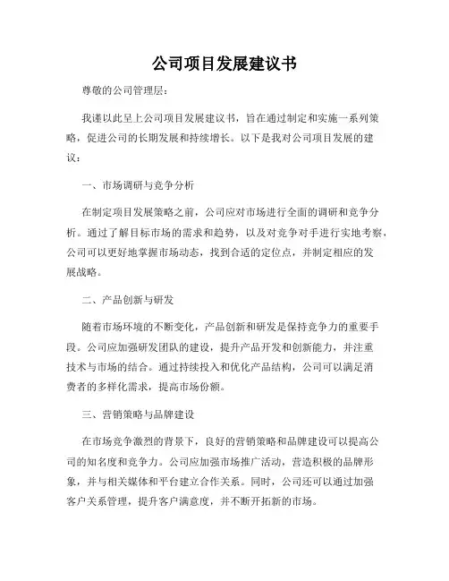 公司项目发展建议书